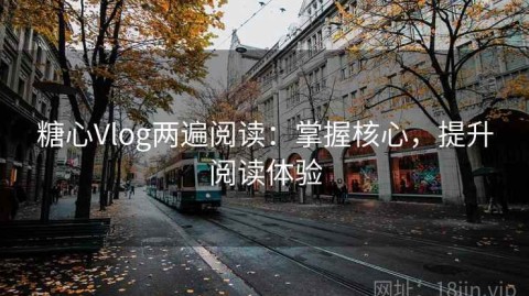 糖心Vlog两遍阅读：掌握核心，提升阅读体验