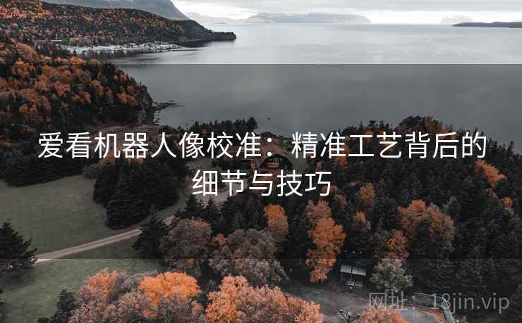 爱看机器人像校准:精准工艺背后的细节与技巧 爱看机器人像校准:精准工艺背后的细节与技巧
