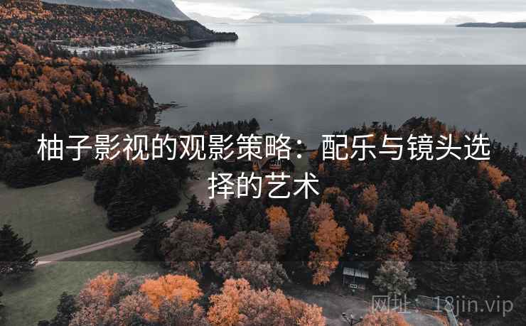 柚子影视的观影策略:配乐与镜头选择的艺术 柚子影视的观影策略:配乐与镜头选择的艺术